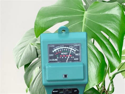 moisture meter monstera deliciosa|monstera moisture meter.